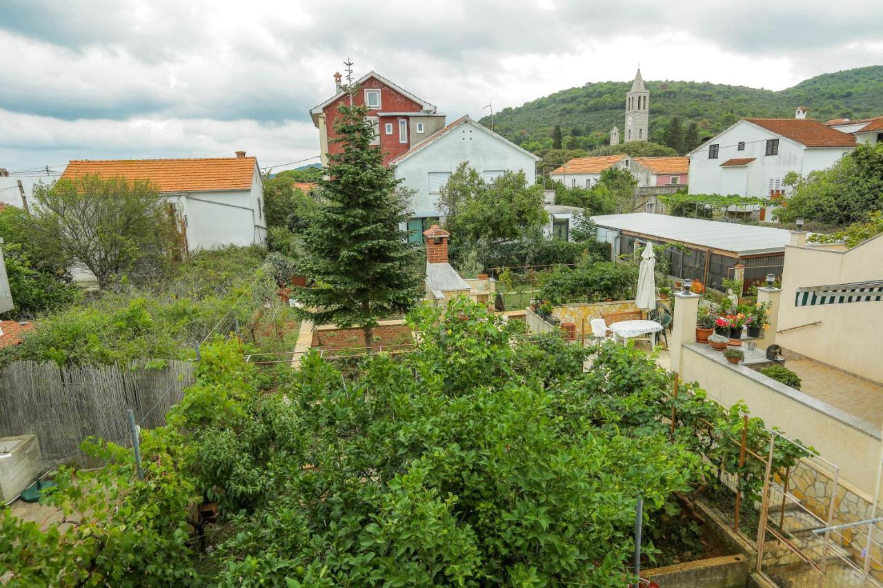 Apartments Maslina Božava 外观 照片