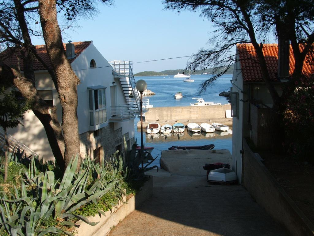 Apartments Maslina Božava 客房 照片