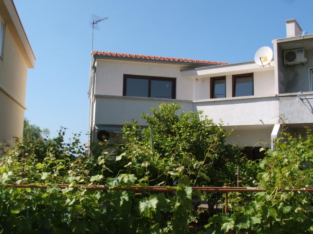 Apartments Maslina Božava 客房 照片
